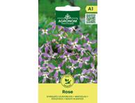 Dviragės leukonijos Rose,  AGRONOM