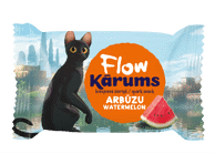 	Varškės sūrelis KĀRUMS FLOW, arbūzų skonio, 24,3 % rieb., 45 g