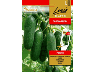 Agurkai trumpavaisiai Pony H EL