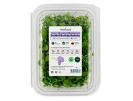 Brokolių mikrožalumynai LEAFOOD, 25 g