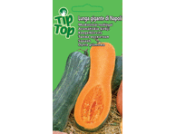 Moliūgai Lunga gigante di Napoli