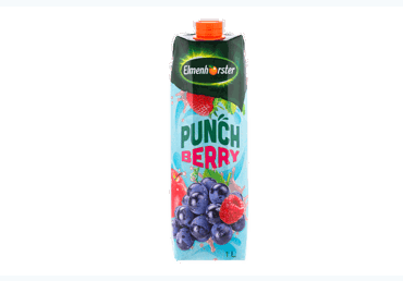 Gaivusis gėrimas su sultimis ELMENHORSTER Punch Berry, be konservantų, 1 l