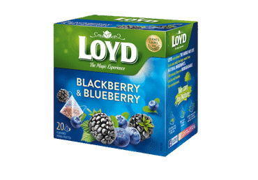 Vaisinė gervuogių ir mėlynių arbata LOYD, 40 g - 2