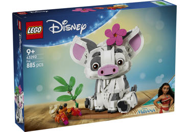 Konstruktorius LEGO PUA 43292