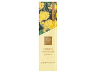 Vijoklinės rožės GOLDEN SHOWERS