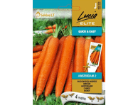 Morkos Amsterdam 2,  LUCIA ELITE