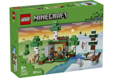 Konstruktorius LEGO PIRMOSIOS NAKTIES NUOTYKIS 21593