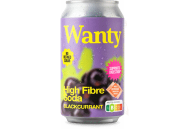 Gazuotas funkcinis gėrimas WANTY Black Currant, 330 ml