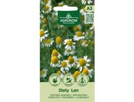 Ramunėlės „Zloty Lan“ 1 vnt. 