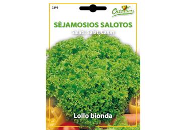 Salotos Lollo bionda 4