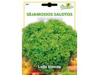 Salotos Lollo bionda 4