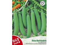 Žirniai Kleine Rheinländerin