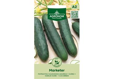 Agurkai ilgavaisiai MARKETER,  AGRONOM