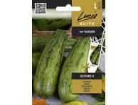 Cukinijos Leopard H 1 vnt. 