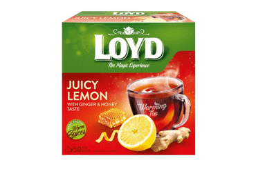 Vais. arbatos gėrimas LOYD, imbierų ir medaus sk., 50 x 2 g, 100 g