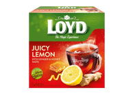 Vais. arbatos gėrimas LOYD, imbierų ir medaus sk., 50 x 2 g, 100 g