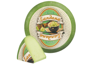 Sūris su vasabių prieskoniais LANDANA, 50 % rieb. s. m., 1 kg